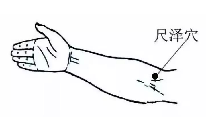尺泽穴清宣肺气
