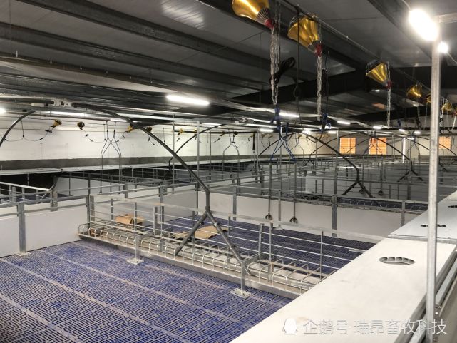 重磅华为也要开始养猪了你看好华为的智慧养猪吗