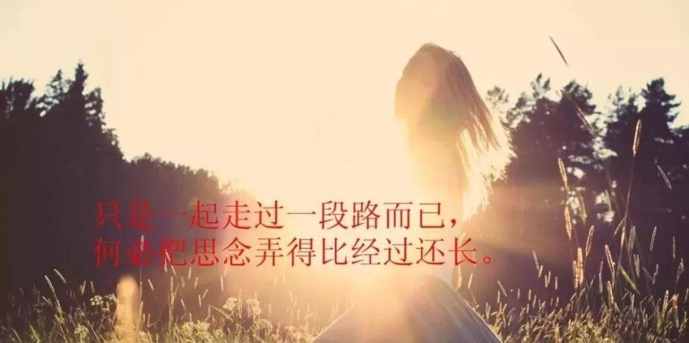 每日心灵鸡汤