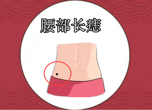 在相学当中,若是一个人的肚脐眼的位置长有吉痣,则会被称之为"福禄"痣