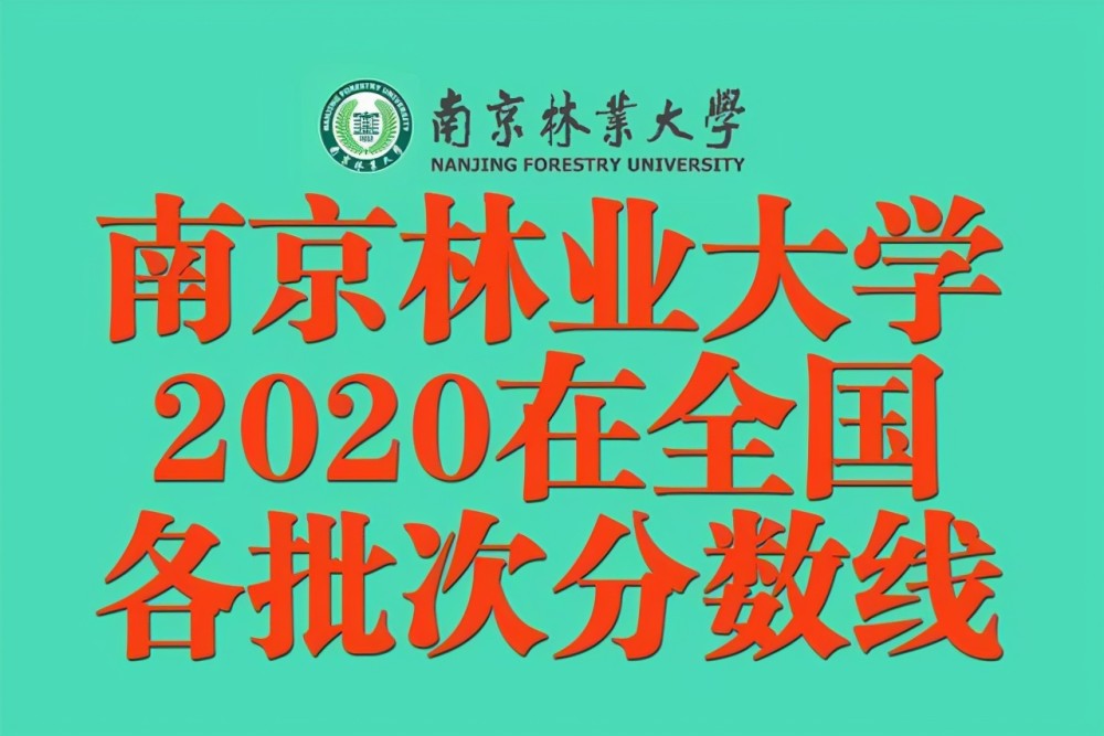 2020南京高考各学校_南京林业大学2020年在全国各批次招生录取分数线公