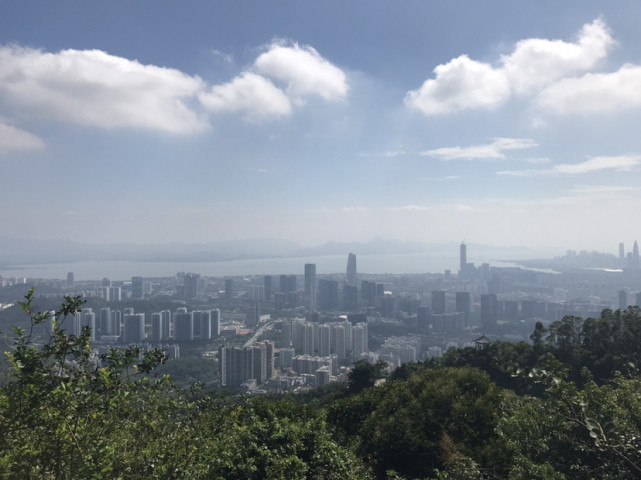 360度俯瞰深圳的塘朗山带娃也能爬