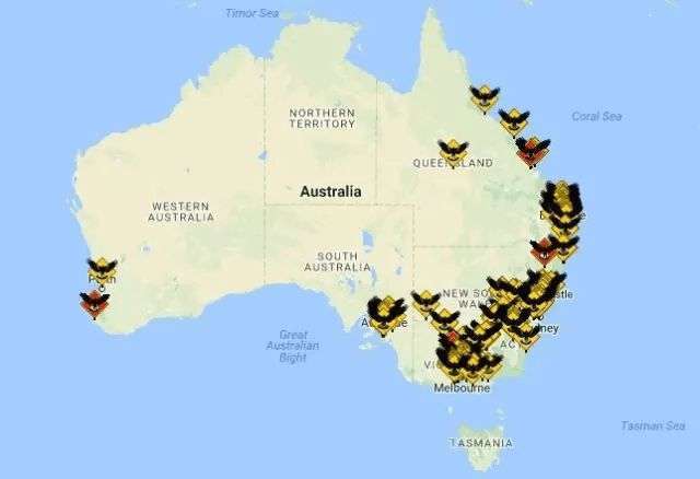 喜鹊|吃麻雀、杀兔子、揍老鹰，“吉祥鸟”喜鹊为什么不受人们待见了？