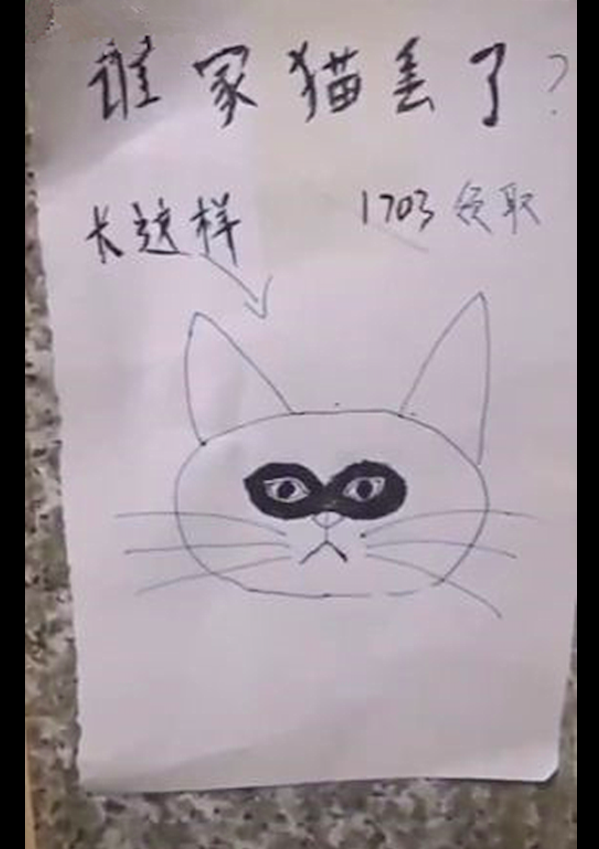 以为寻猫启事上的画像太抽象,看到猫的本尊后,感觉是个灵魂画手_腾讯