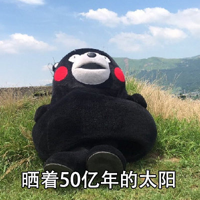 熊本熊表情包|做人要低调一点