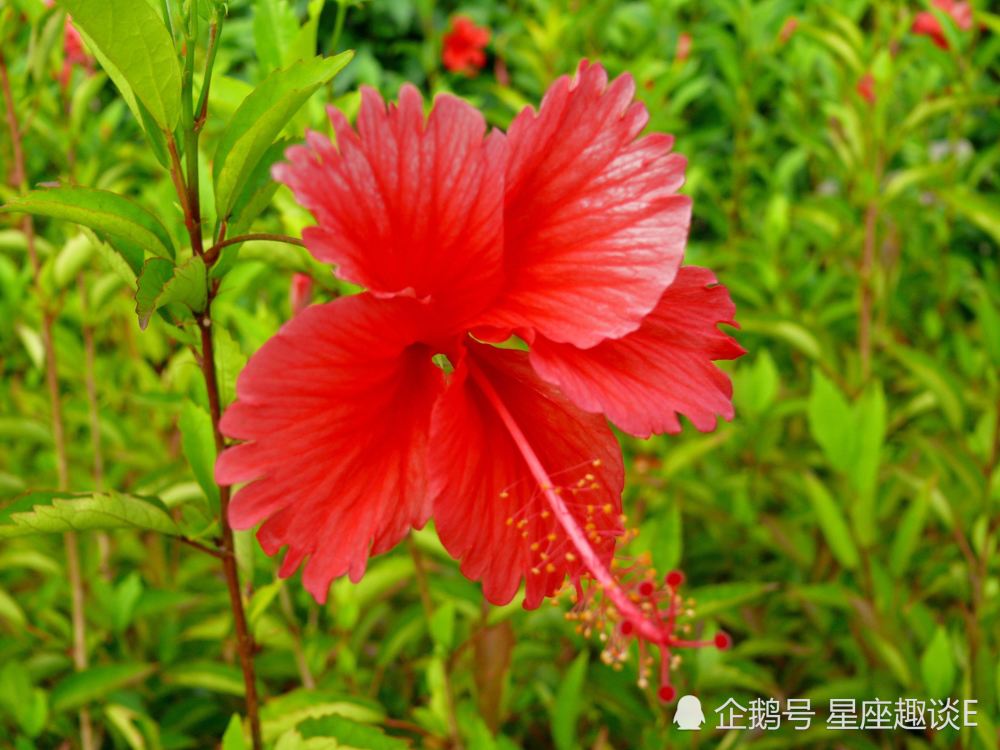 2月日星座运势 水涨船高 气势如虹的四大星座 腾讯新闻