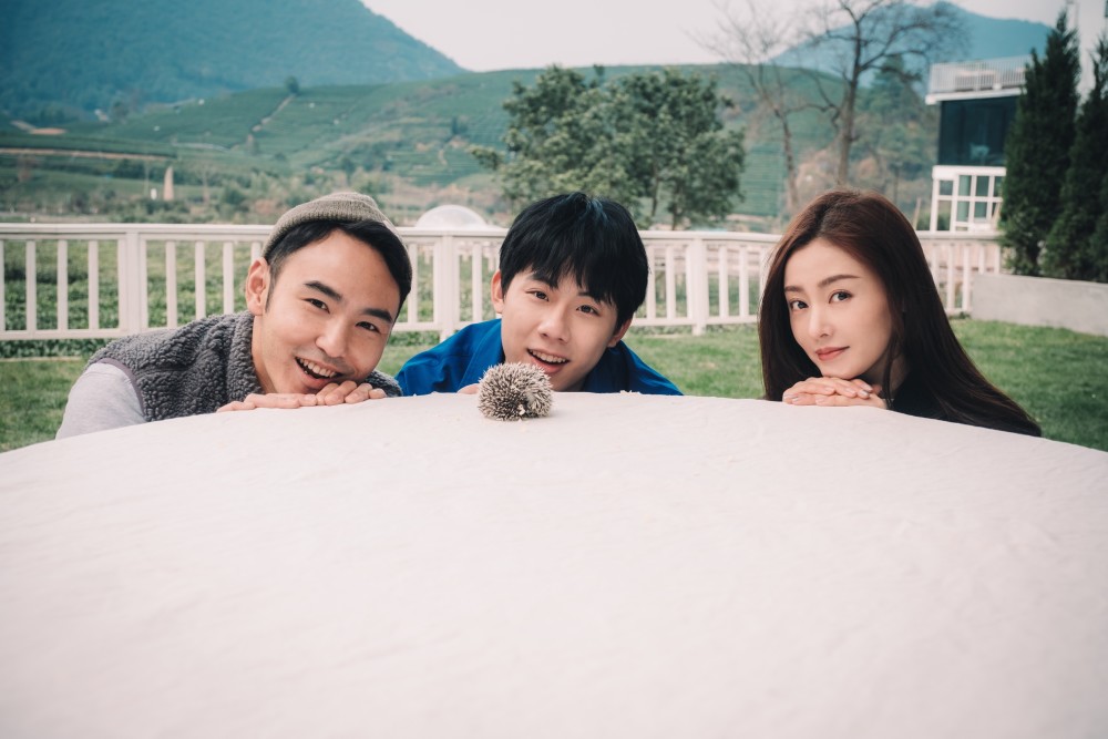 张天爱念念桃花源热播桃源家族睡衣大片记录美好瞬间