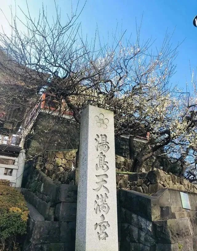 东京汤岛天满宫梅花香自苦寒来学子祈祷金榜题名的必到打卡之地