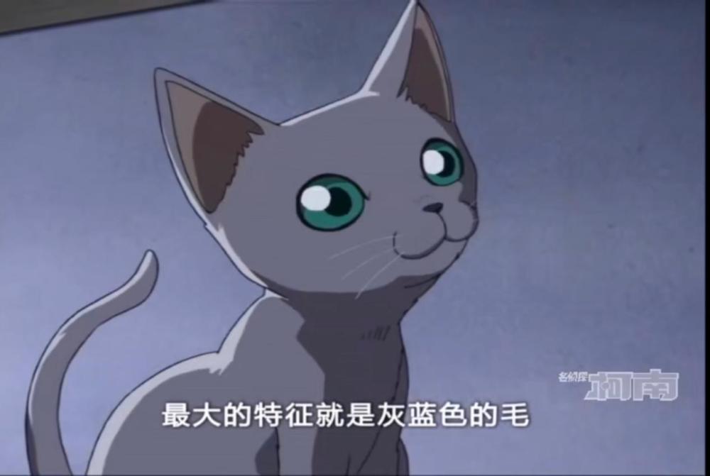 柯南 妃英理的猫很像小五郎 但很少人知道 连睡觉姿势都一样 腾讯新闻