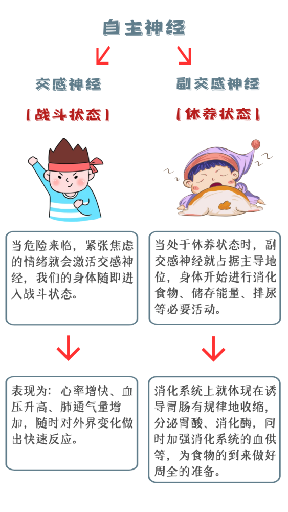 慢性胃炎|心情好不好，压力大不大，胃比你更清楚