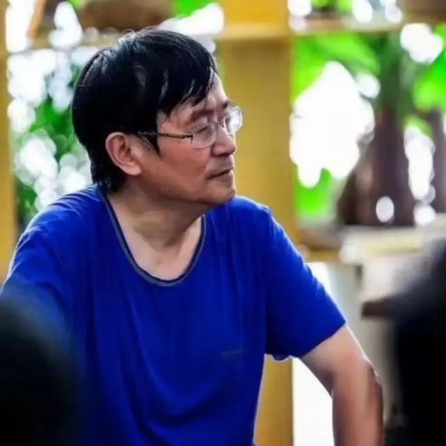 连载丨《中国远征军》广播连续剧(十二)|罗学蓬|江津区|有声小说|作家