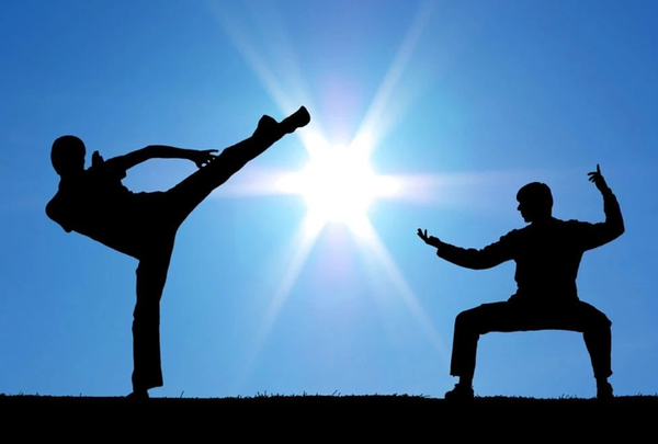 日本武林高手泽田健一晚年感叹我的中国师傅才真的厉害