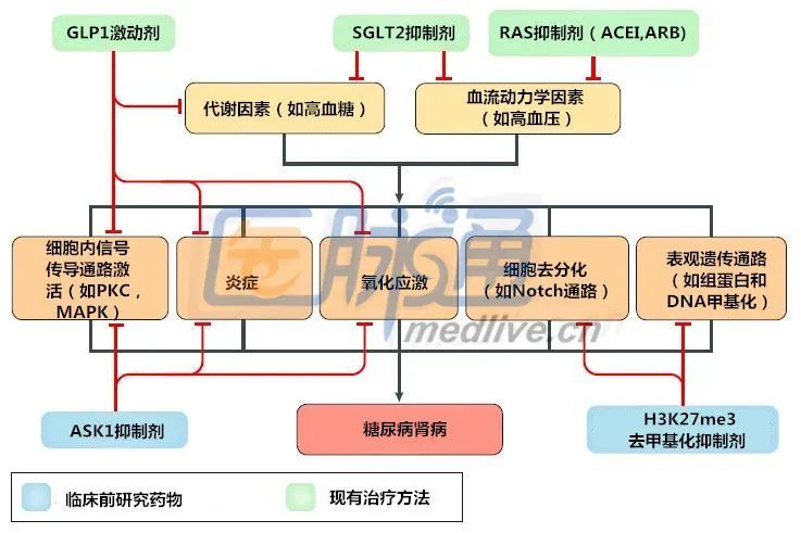 不止sglt2i和glp1ra糖尿病腎病治療最新進展