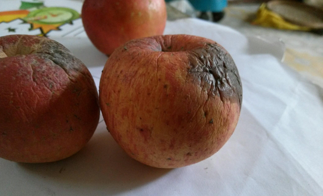 加速肝脏病变行为,不止熬夜喝酒,"霉变水果"丢掉为上策