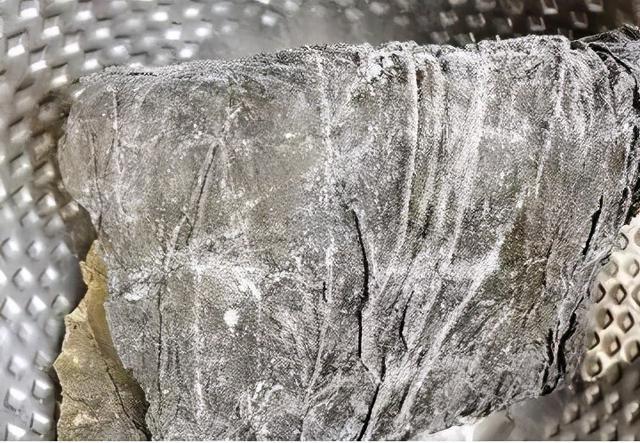 昆布|海带和昆布是一个东西吗？…很多人不知道