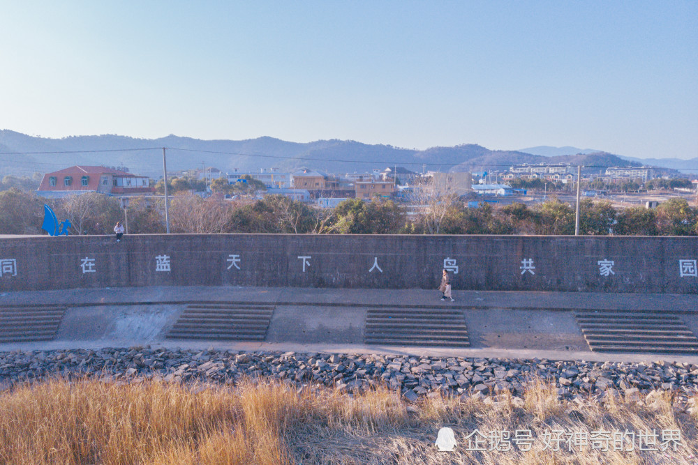 也與海岸線上的其它景點一起組成了鹹祥旅遊地圖,新灣花海,新灣沙灘