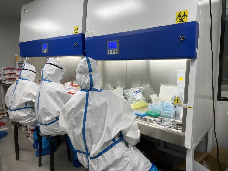 核酸检测|新春走基层丨探访核酸检测实验室：外地人员主动留青，几乎24小时运转