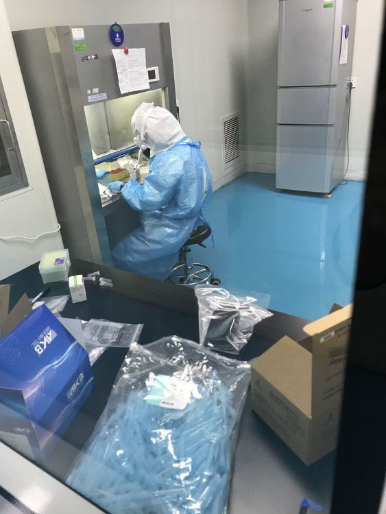 核酸检测|新春走基层丨探访核酸检测实验室：外地人员主动留青，几乎24小时运转