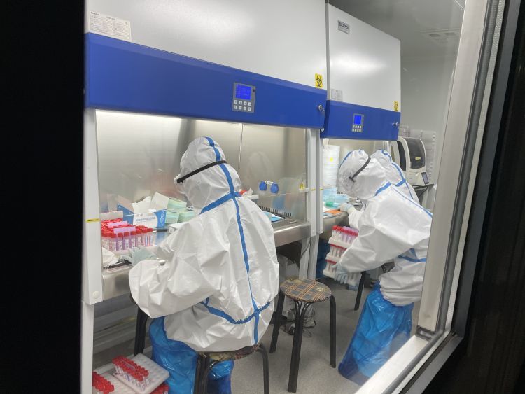 核酸检测|新春走基层丨探访核酸检测实验室：外地人员主动留青，几乎24小时运转