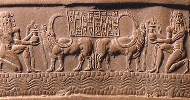 牛肉|牛，人见人爱敬业福～