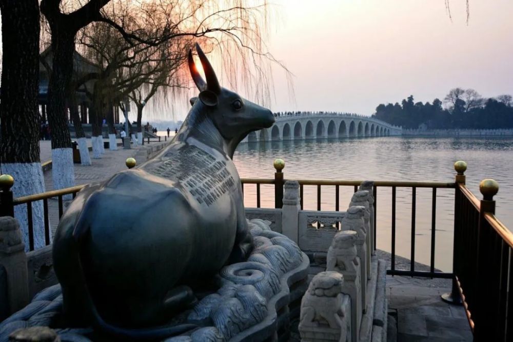 牛肉|牛，人见人爱敬业福～