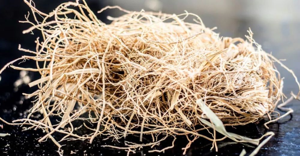 精油秘典|岩兰草,亲密的大地使者_腾讯新闻