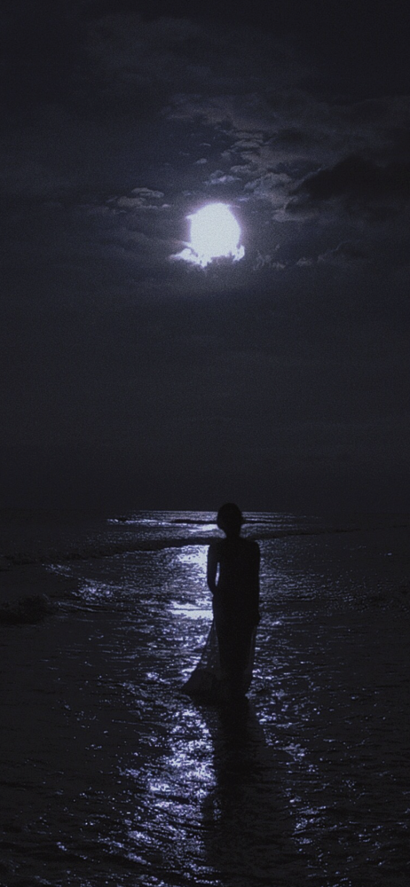 feb19th壁纸文艺深色复古