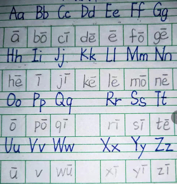 到了语文园地三开始学习音序查字法.