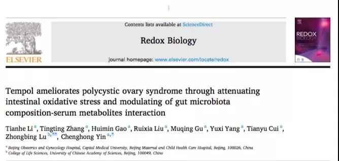 北京妇产医院|北京妇产医院：揭示tempol对多囊卵巢综合征的保护作用和分子机理
