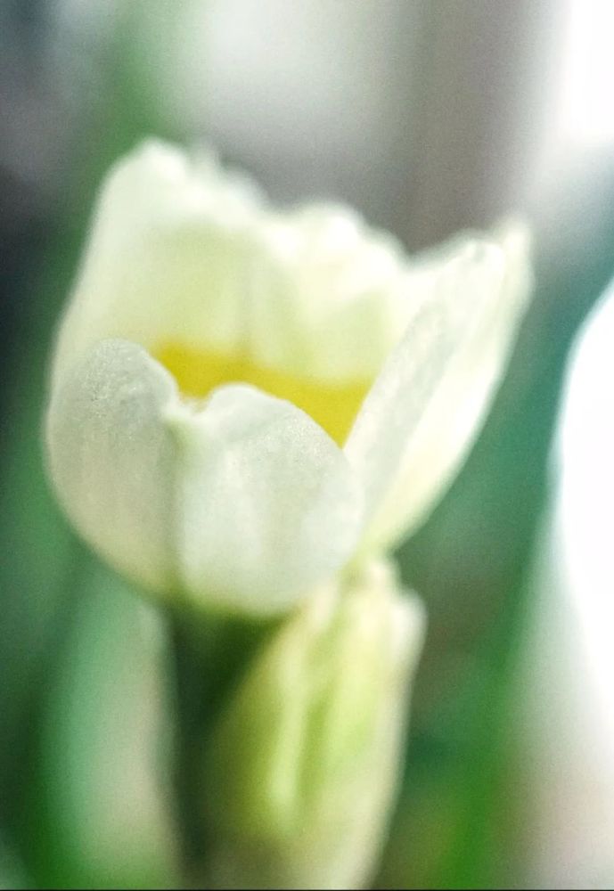 温化平 我为什么还不退休 失恋救助站