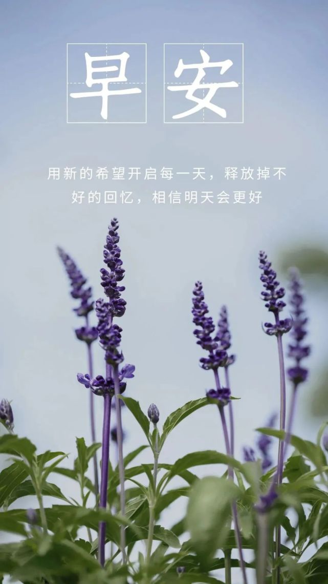 图片|大年初九图片配图早晨好问候语，正能量奋斗早安说说为梦想拼搏