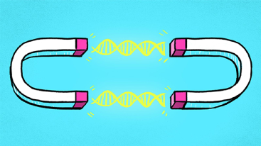 dna|新年脱单术：风靡全球的DNA相亲靠谱吗？