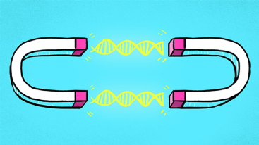 新年脱单术：DNA相亲靠谱吗？