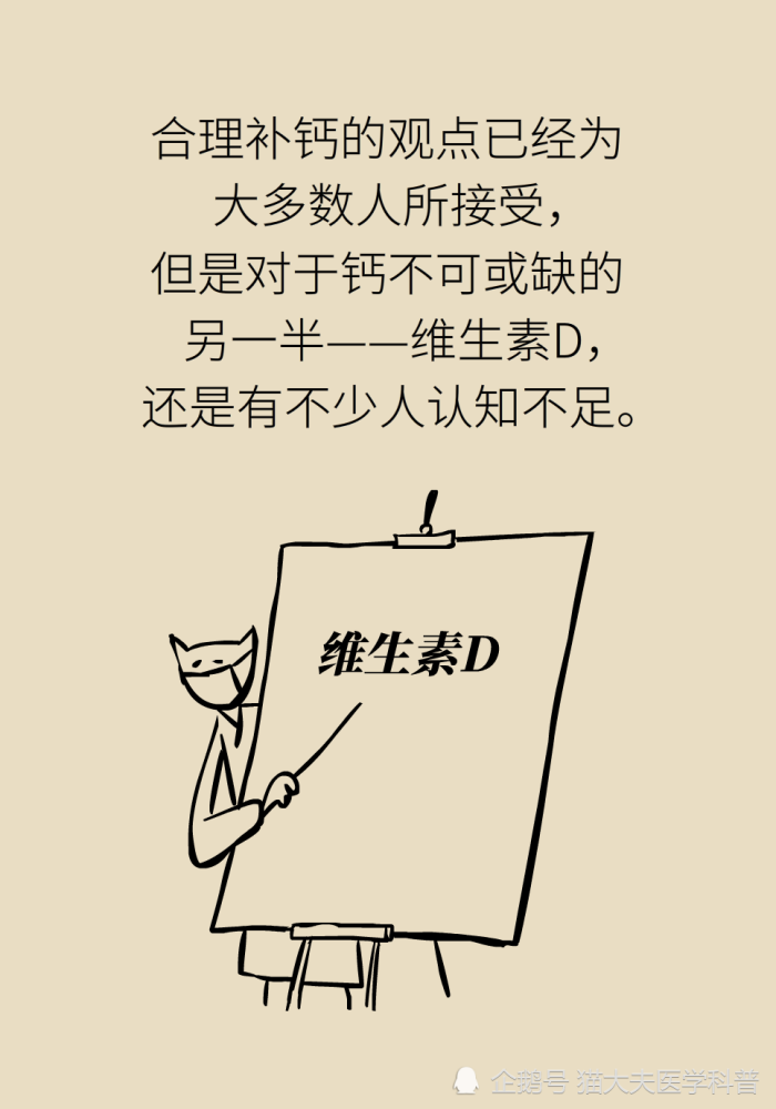 维生素d|维生素D与钙，为什么被称为最强CP？