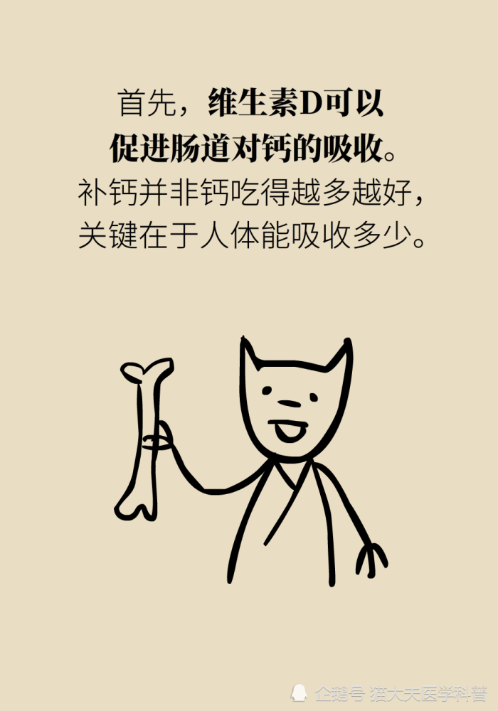 维生素d|维生素D与钙，为什么被称为最强CP？
