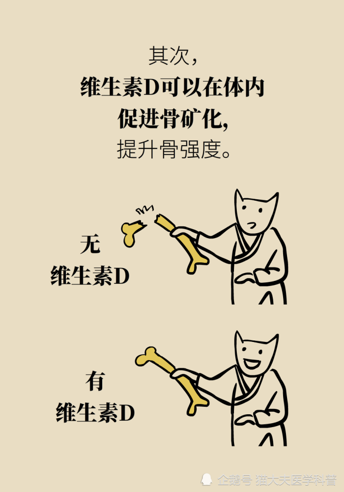 维生素d|维生素D与钙，为什么被称为最强CP？
