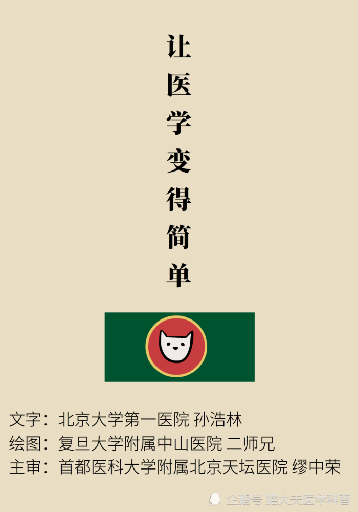 维生素d|维生素D与钙，为什么被称为最强CP？