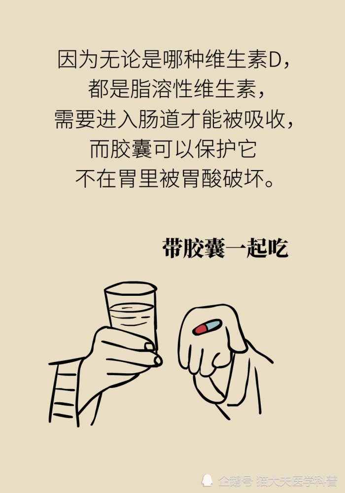 维生素d|维生素D与钙，为什么被称为最强CP？