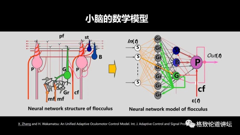 大脑|机器人的寒武纪要来了？仿制人眼，相当于仿制了人类的整个大脑？