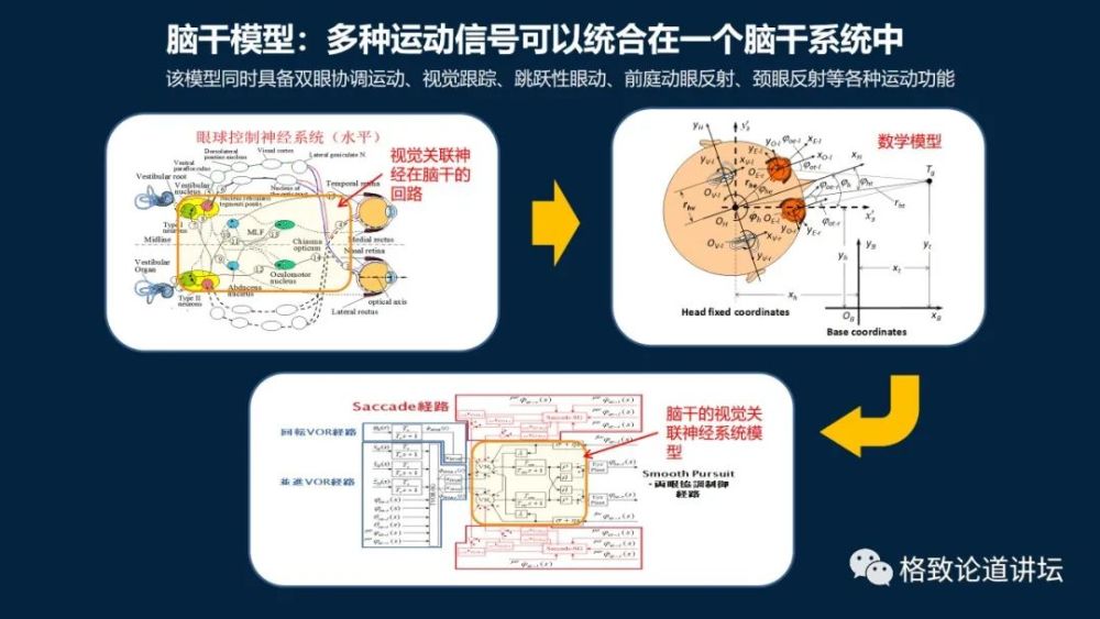 大脑|机器人的寒武纪要来了？仿制人眼，相当于仿制了人类的整个大脑？