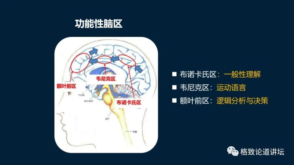 大脑|机器人的寒武纪要来了？仿制人眼，相当于仿制了人类的整个大脑？