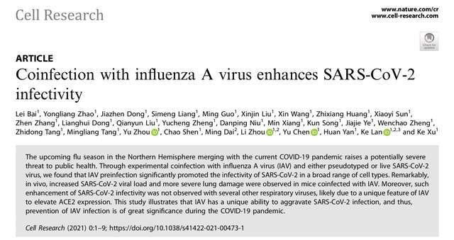 流行性感冒|武汉大学团队：流感、新冠两种病毒共感染形同“火上浇油”