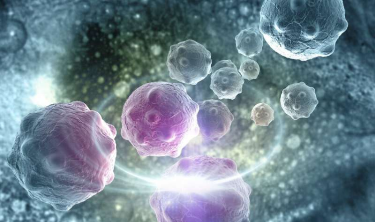 科学家研制超级nk细胞更强的活性抵御外来细胞