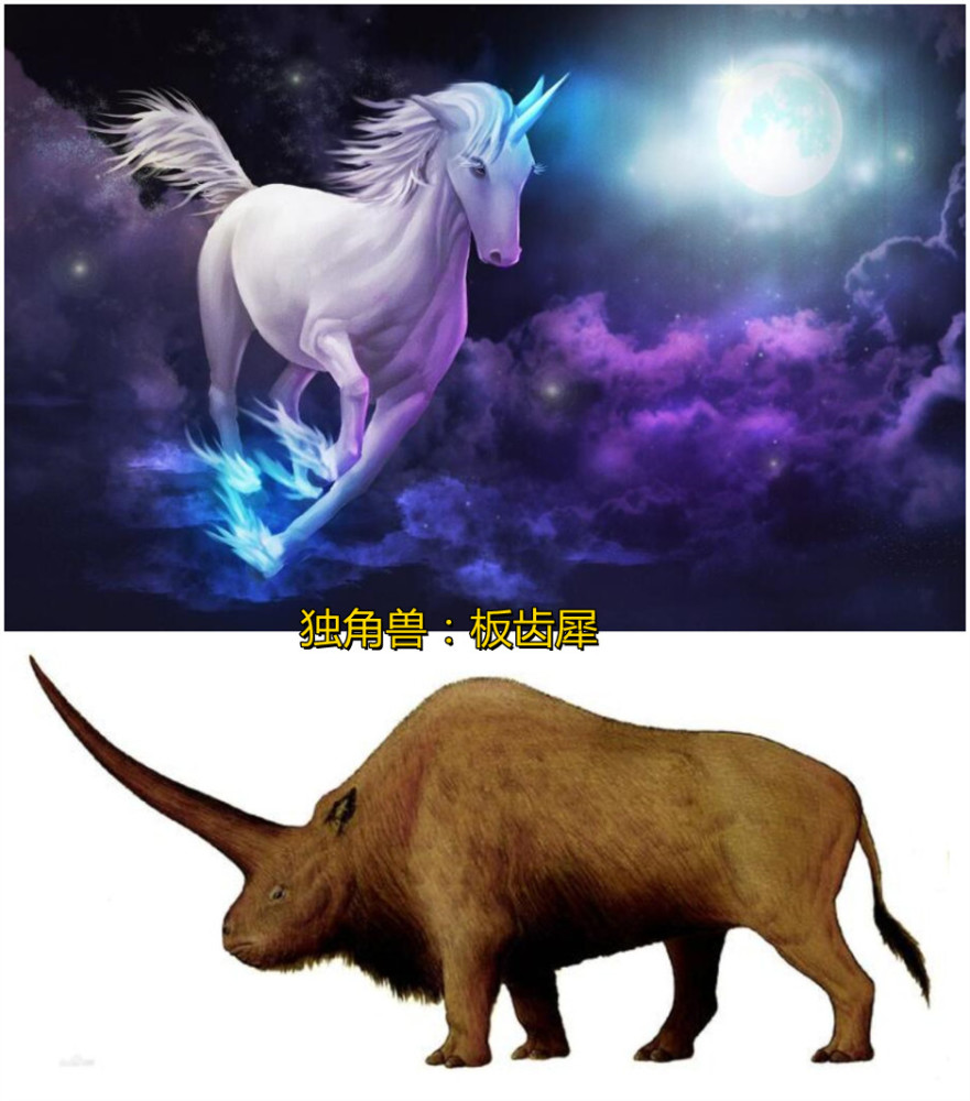独角兽:板齿犀它们的原型被证实是已经灭绝了的恐狼,恐狼是在更新世的