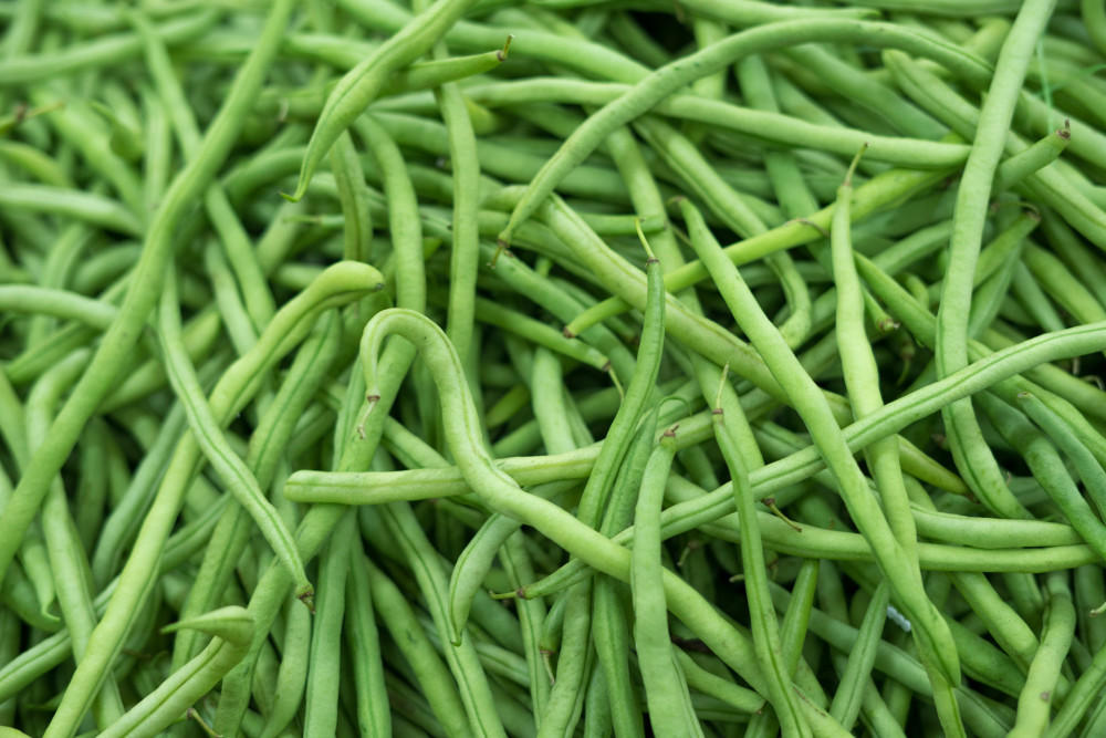 豇豆|夏季的豇豆，为何能成为山区菜农最爱的种植模式？看完就清楚！