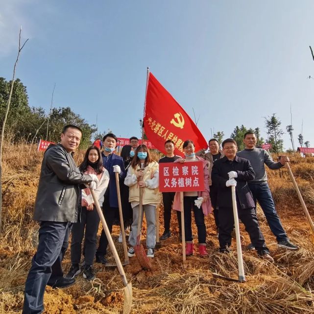 北塔区检察院开展春季义务植树主题党日活动