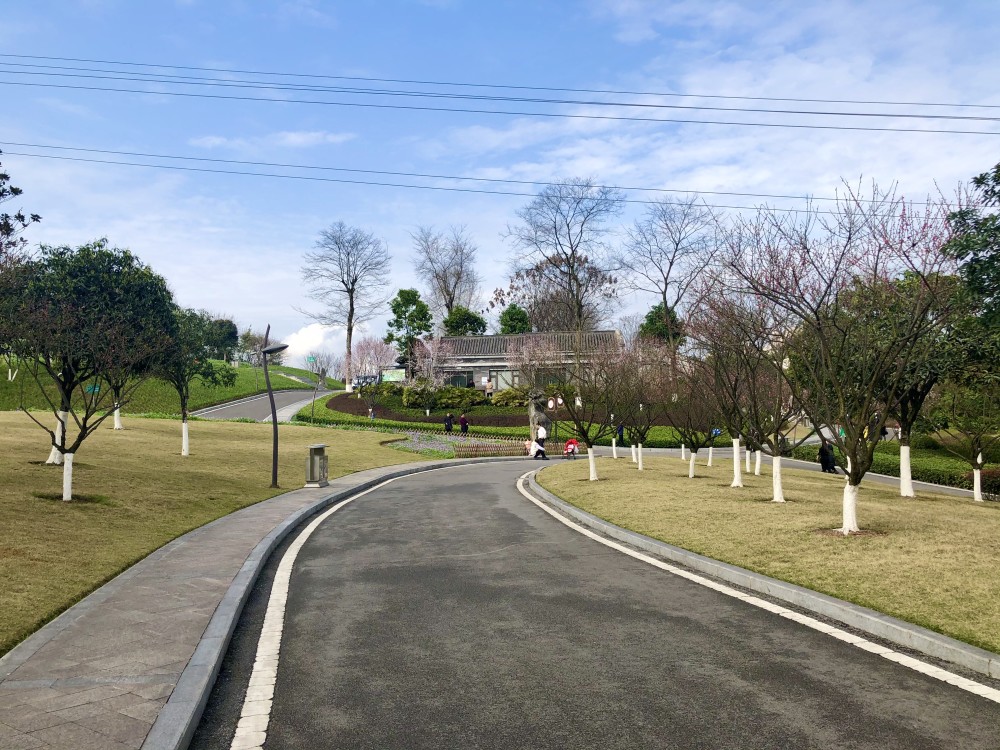 重慶的春天已來臨,這幾個公園正是週末春遊的好去處