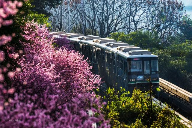 重庆浮图关公园,开往春天的2路列车,美得一塌糊涂