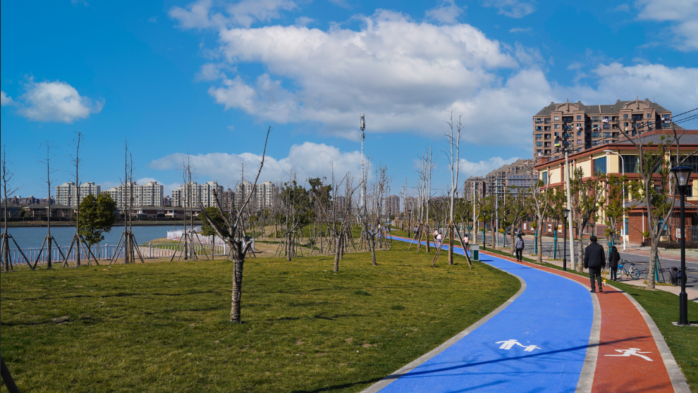 总面积74万平米松江泗泾塘河畔的滨江绿地预计5月初开放