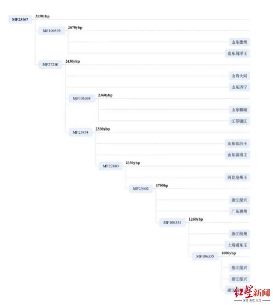 基因检测|智商税还是真寻祖？朱姓男子基因检测后被告知该姓王